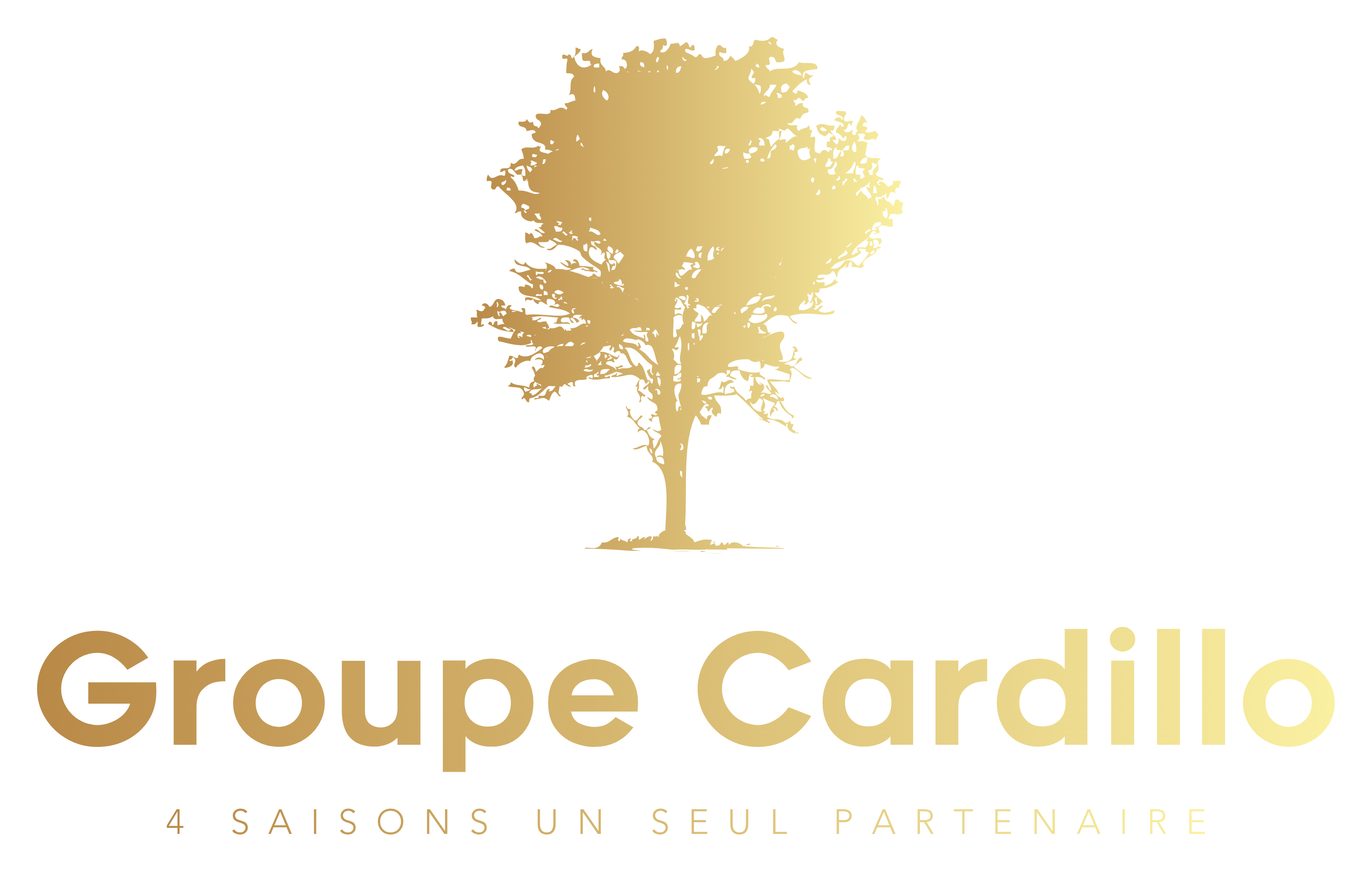 Groupe Cardillo — 4 saisons un seul partenaire
